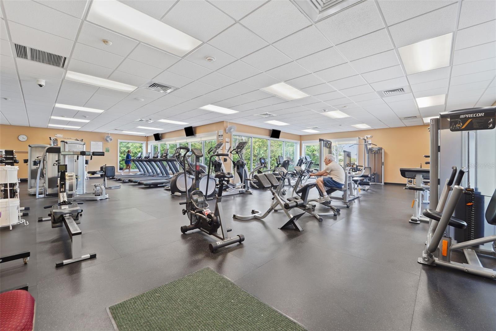 1031 ALMONDWOOD DR, TRINITY, FL, 34655