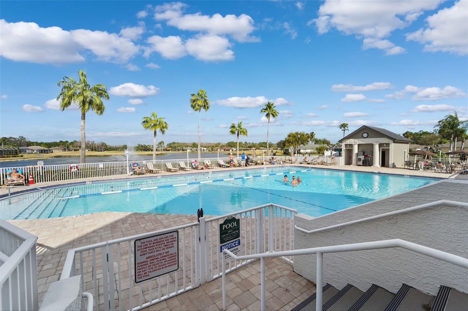 1031 ALMONDWOOD DR, TRINITY, FL, 34655
