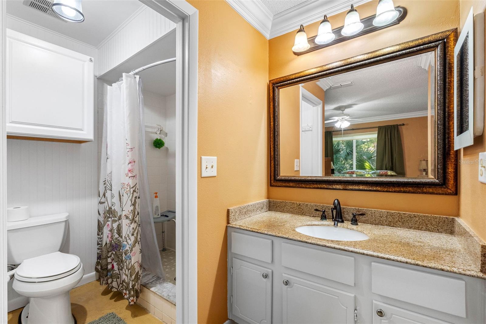 1150 ORANGE TREE CIR E #D, PALM HARBOR, FL, 34684