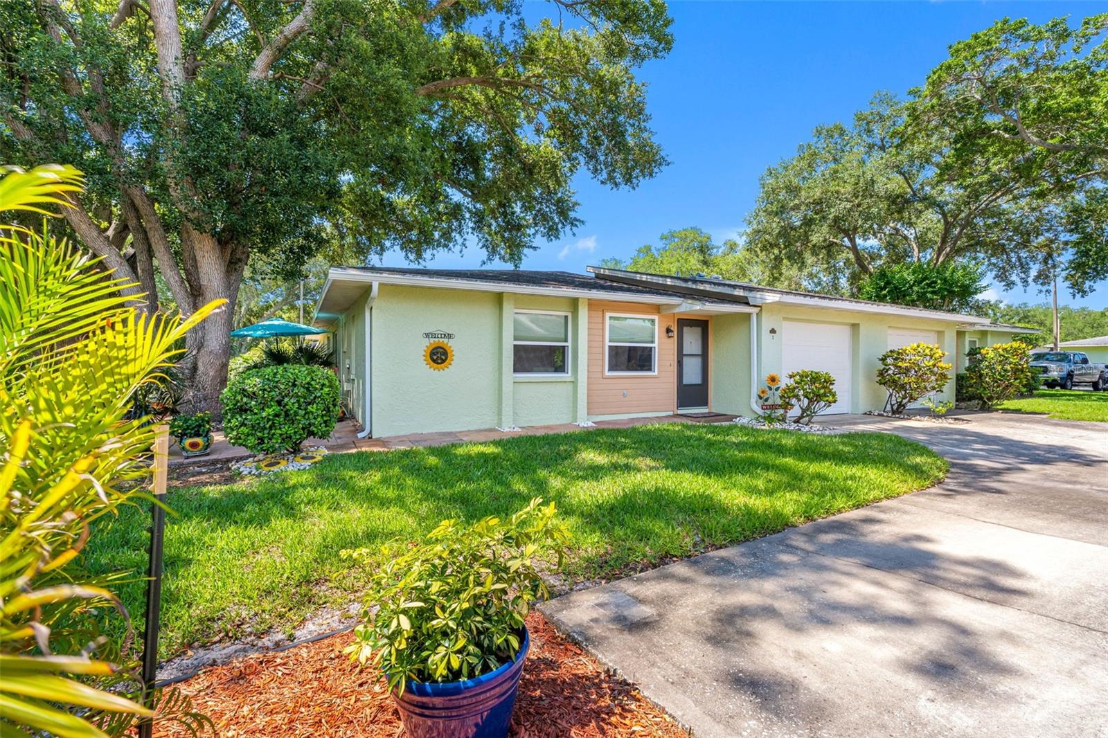 1150 ORANGE TREE CIR E #D, PALM HARBOR, FL, 34684