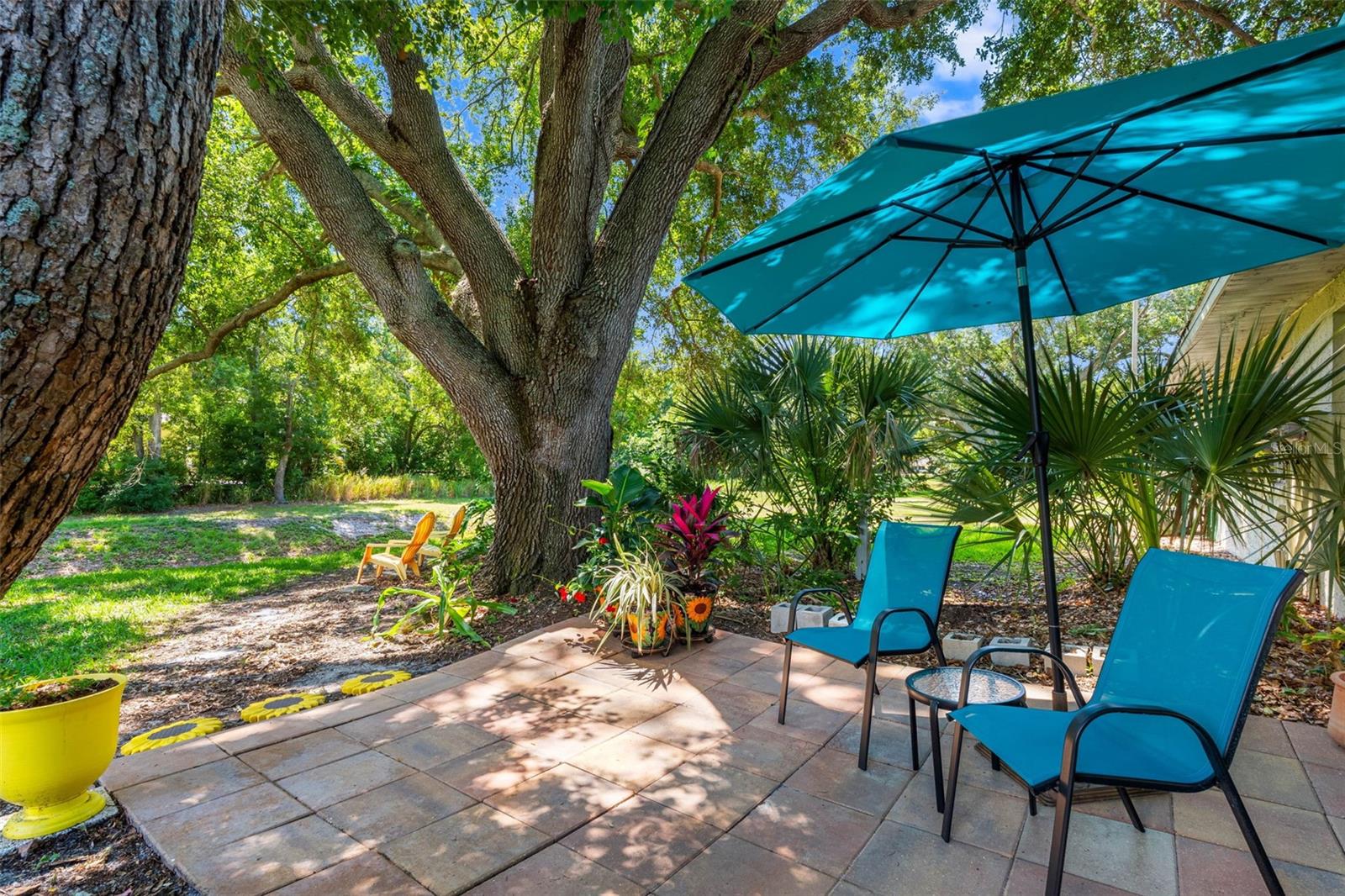1150 ORANGE TREE CIR E #D, PALM HARBOR, FL, 34684