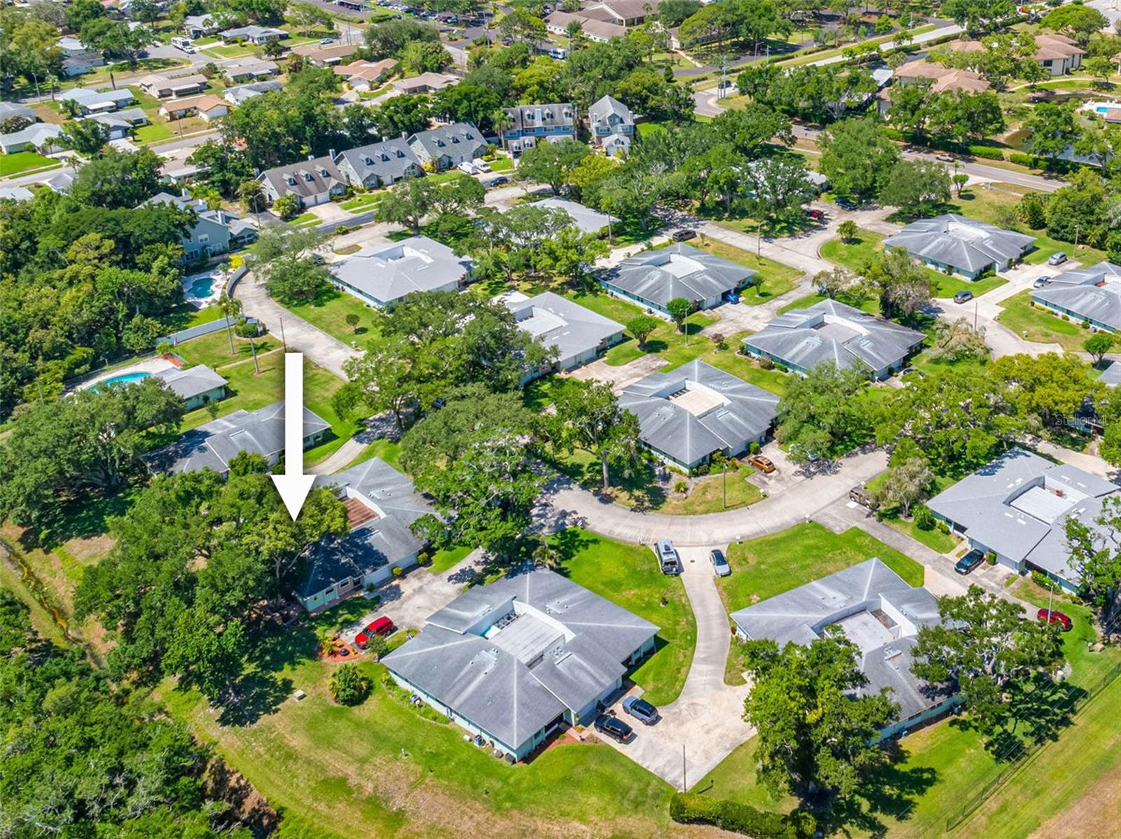 1150 ORANGE TREE CIR E #D, PALM HARBOR, FL, 34684