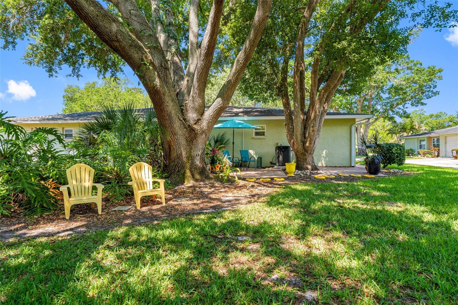 1150 ORANGE TREE CIR E #D, PALM HARBOR, FL, 34684