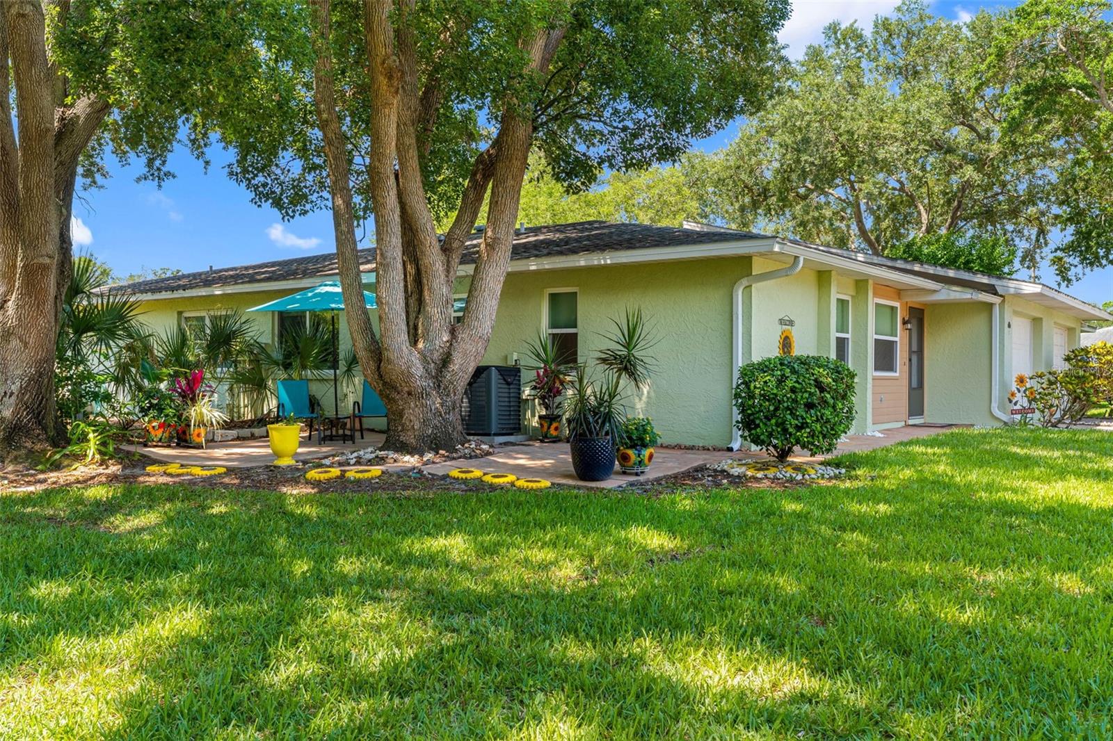 1150 ORANGE TREE CIR E #D, PALM HARBOR, FL, 34684