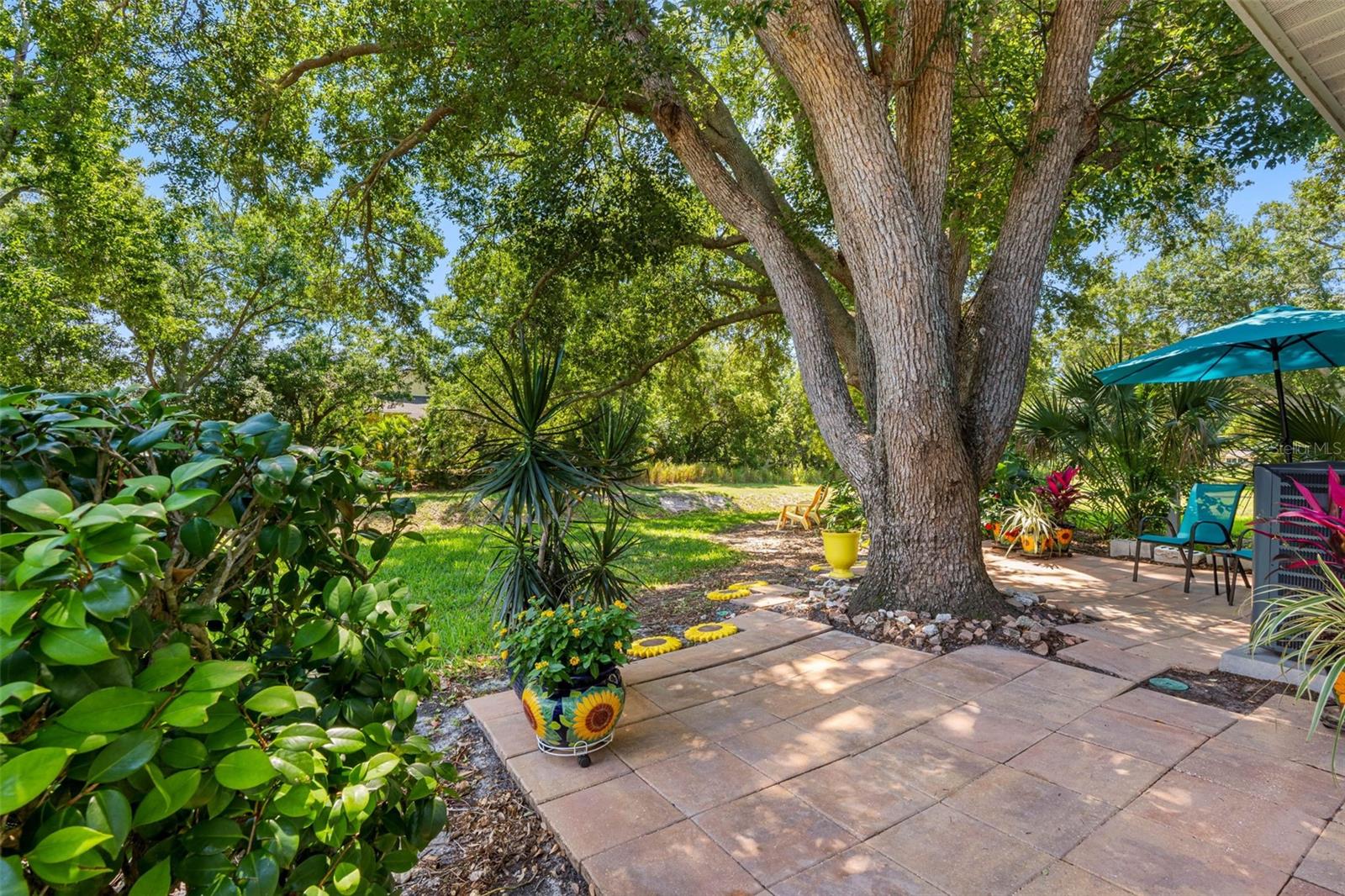1150 ORANGE TREE CIR E #D, PALM HARBOR, FL, 34684