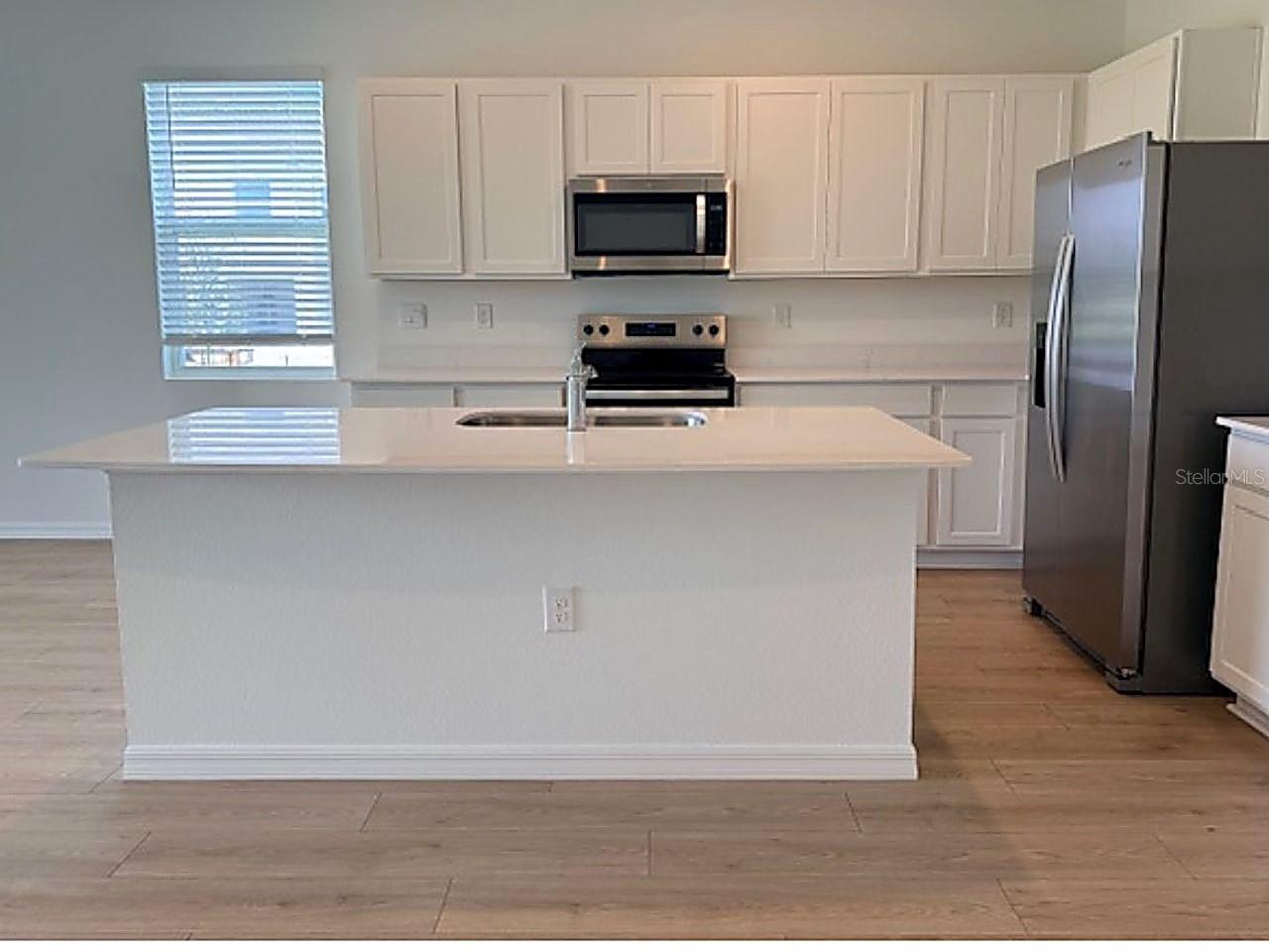 32492 WELLING BLADE LOOP, WESLEY CHAPEL, FL, 33545