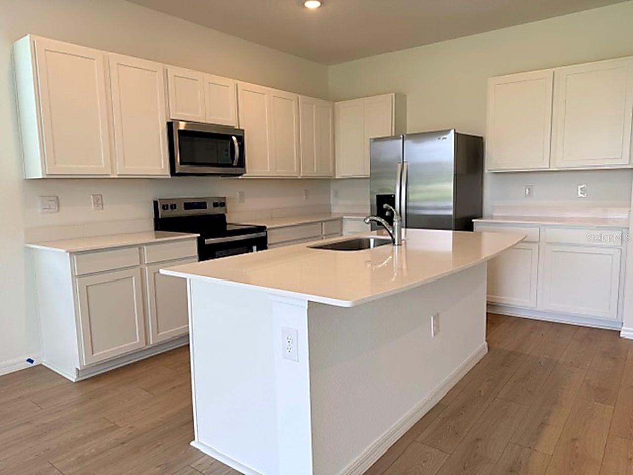 32492 WELLING BLADE LOOP, WESLEY CHAPEL, FL, 33545