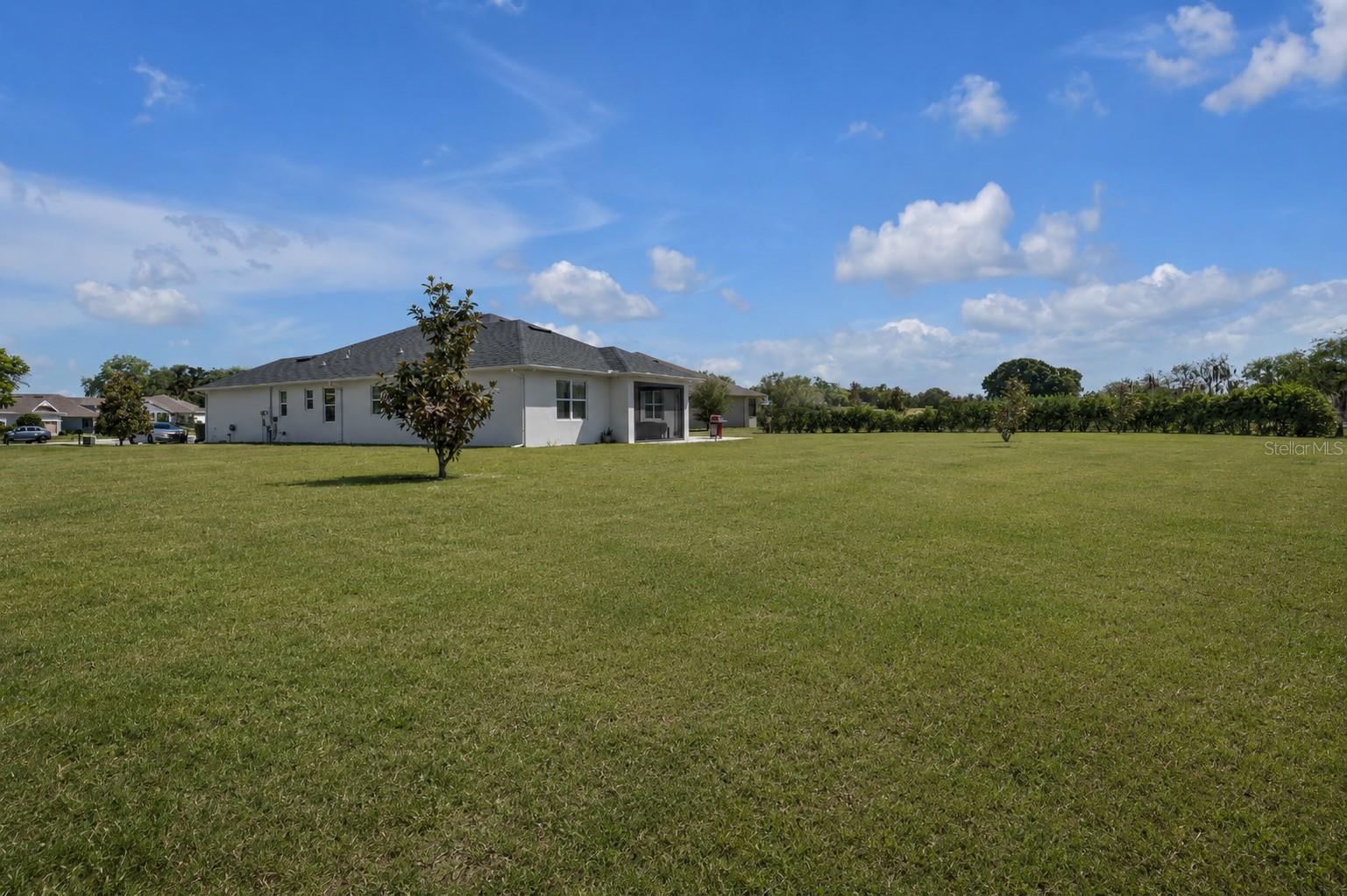 16288 SPRING VIEW CT, CLERMONT, FL, 34711