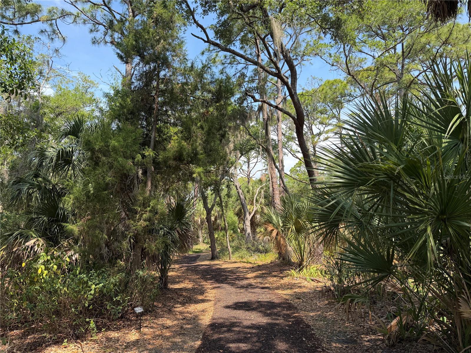 Lot 8 & 9 NUTMEG AVE #PID 0087030036, SARASOTA, FL, 34231