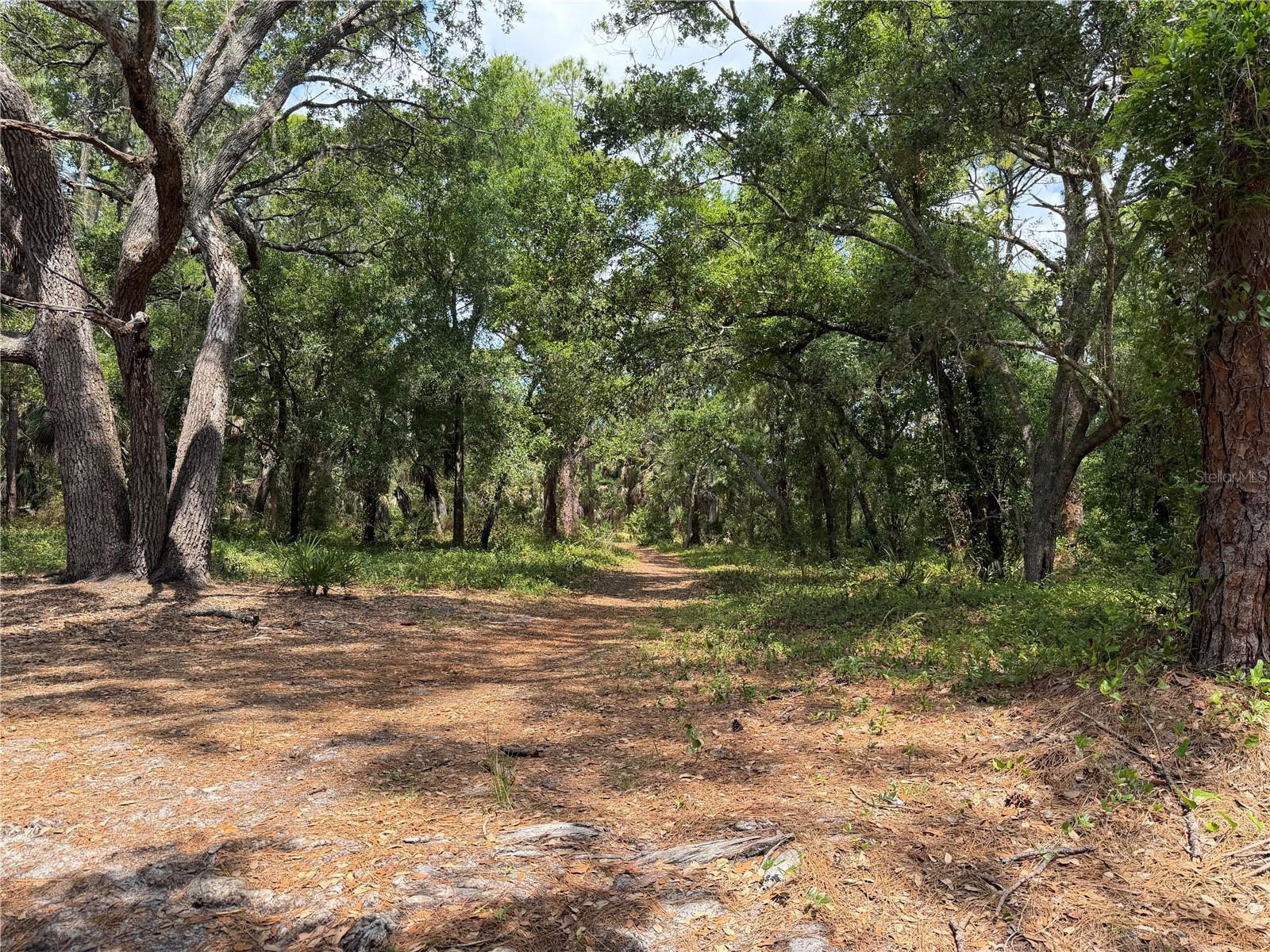 Lot 8 & 9 NUTMEG AVE #PID 0087030036, SARASOTA, FL, 34231