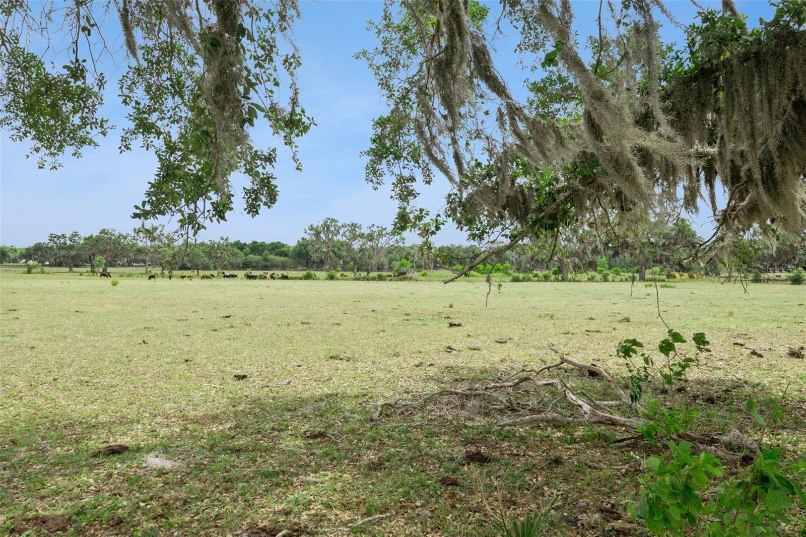 2993 POPLAR AVE, LEESBURG, FL, 34748