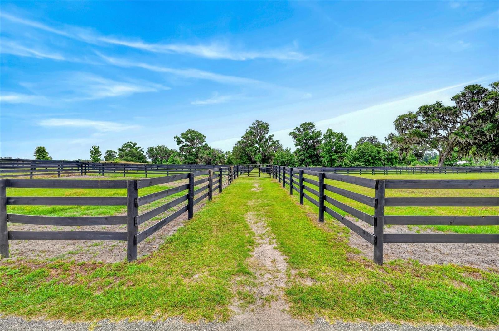 11257 SW 50TH AVE, OCALA, FL, 34476