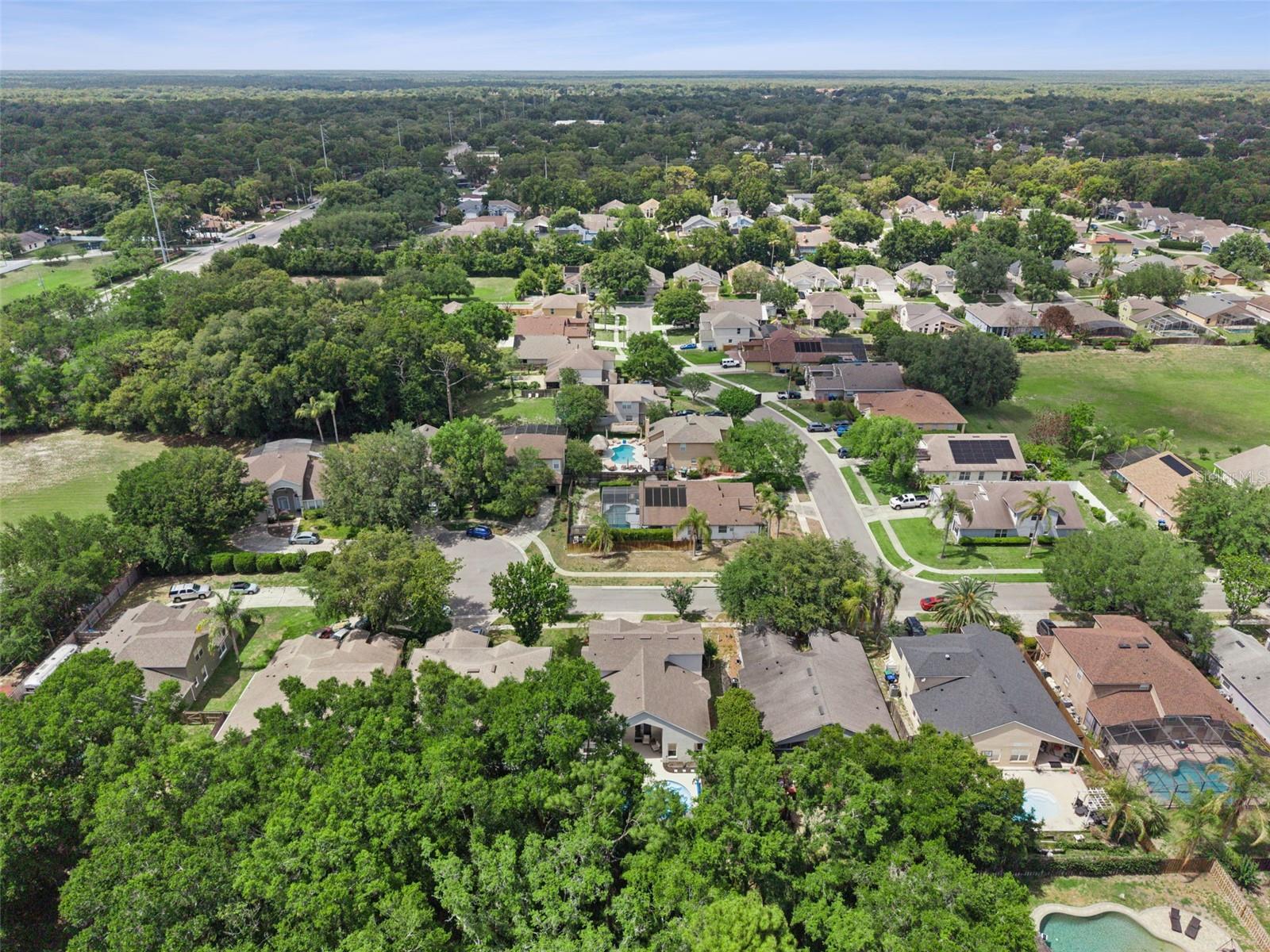 2563 WALNUT HEIGHTS RD, APOPKA, FL, 32703