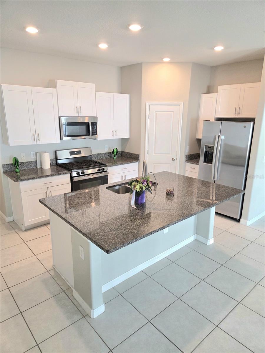 10316 SHADY PRESERVE DR, RIVERVIEW, FL, 33578