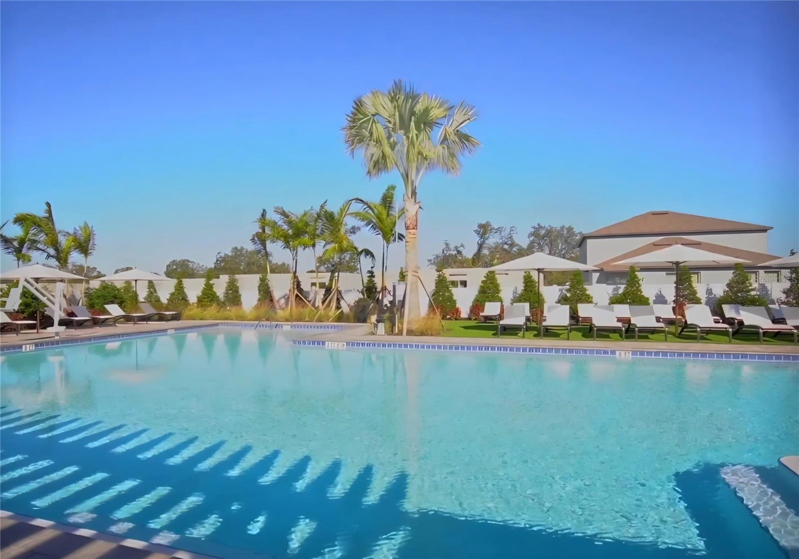 10316 SHADY PRESERVE DR, RIVERVIEW, FL, 33578