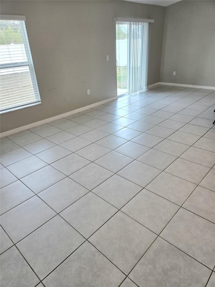 10316 SHADY PRESERVE DR, RIVERVIEW, FL, 33578