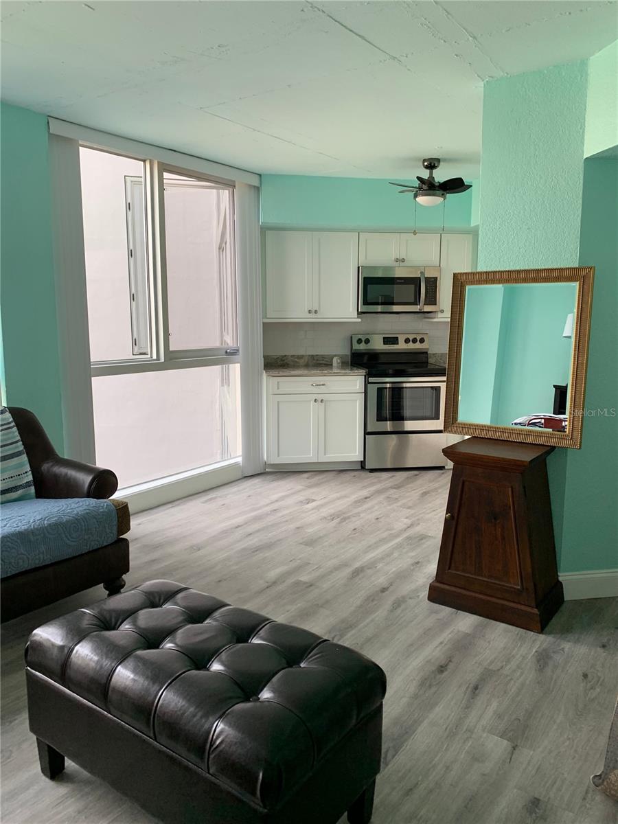 470 3RD ST S #616, ST PETERSBURG, FL, 33701