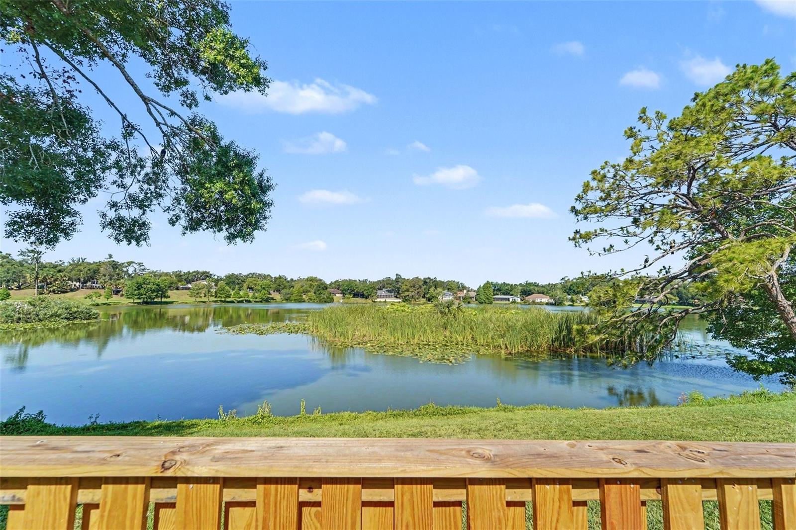 14806 MORNING DR, LUTZ, FL, 33559