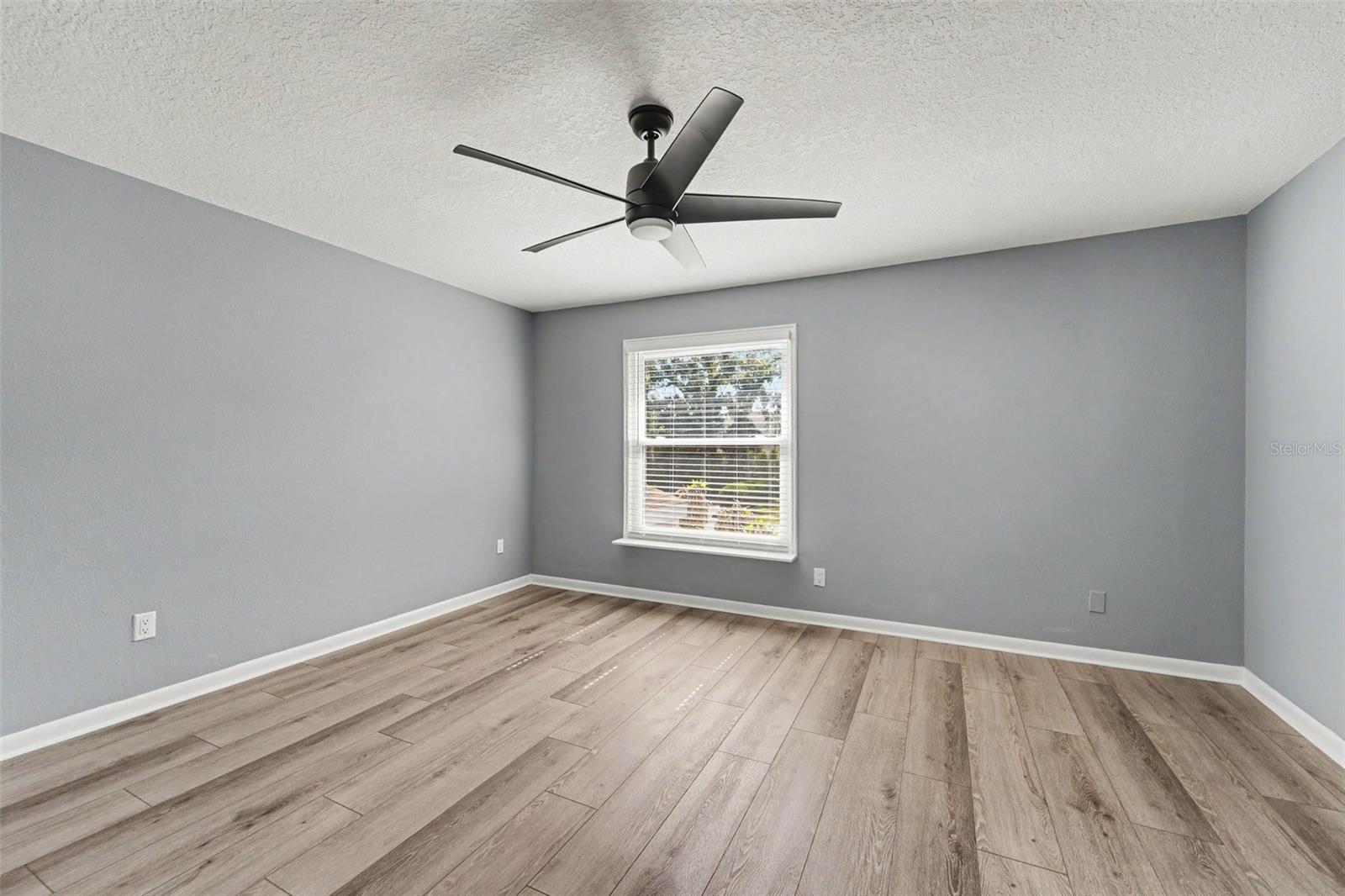 14806 MORNING DR, LUTZ, FL, 33559