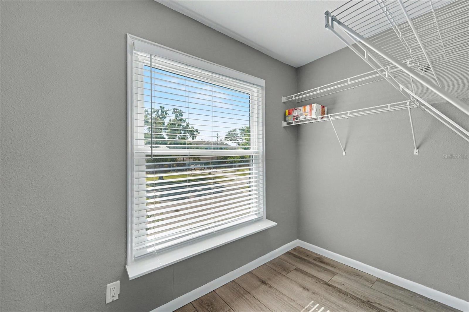 14806 MORNING DR, LUTZ, FL, 33559