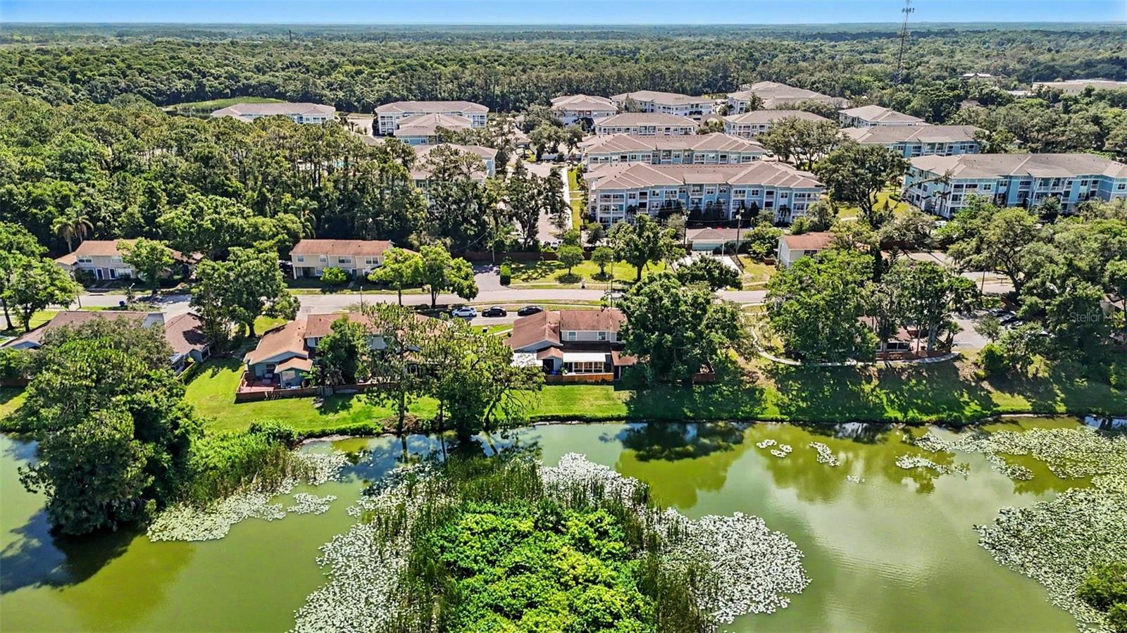 14806 MORNING DR, LUTZ, FL, 33559