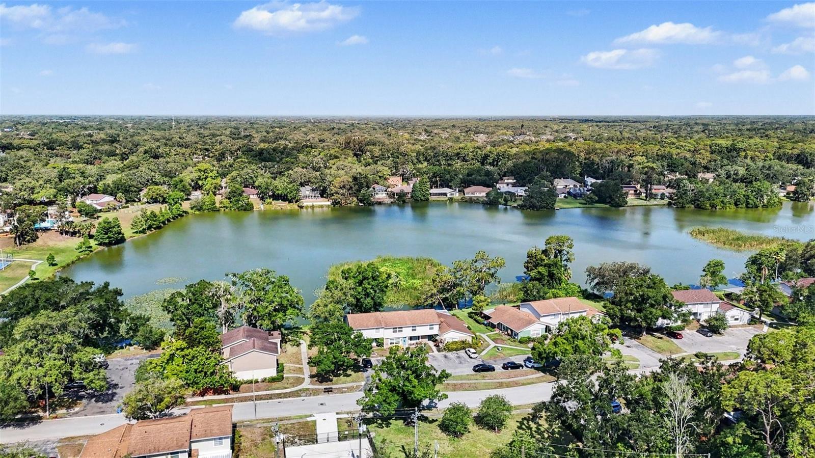 14806 MORNING DR, LUTZ, FL, 33559