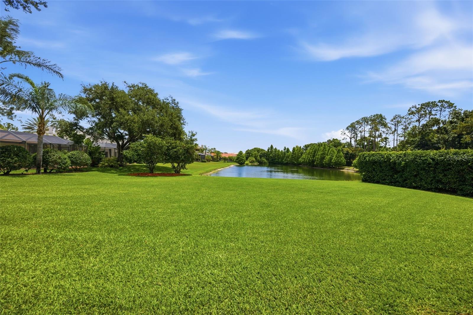 9409 TREE TOPS LAKE RD, TAMPA, FL, 33626