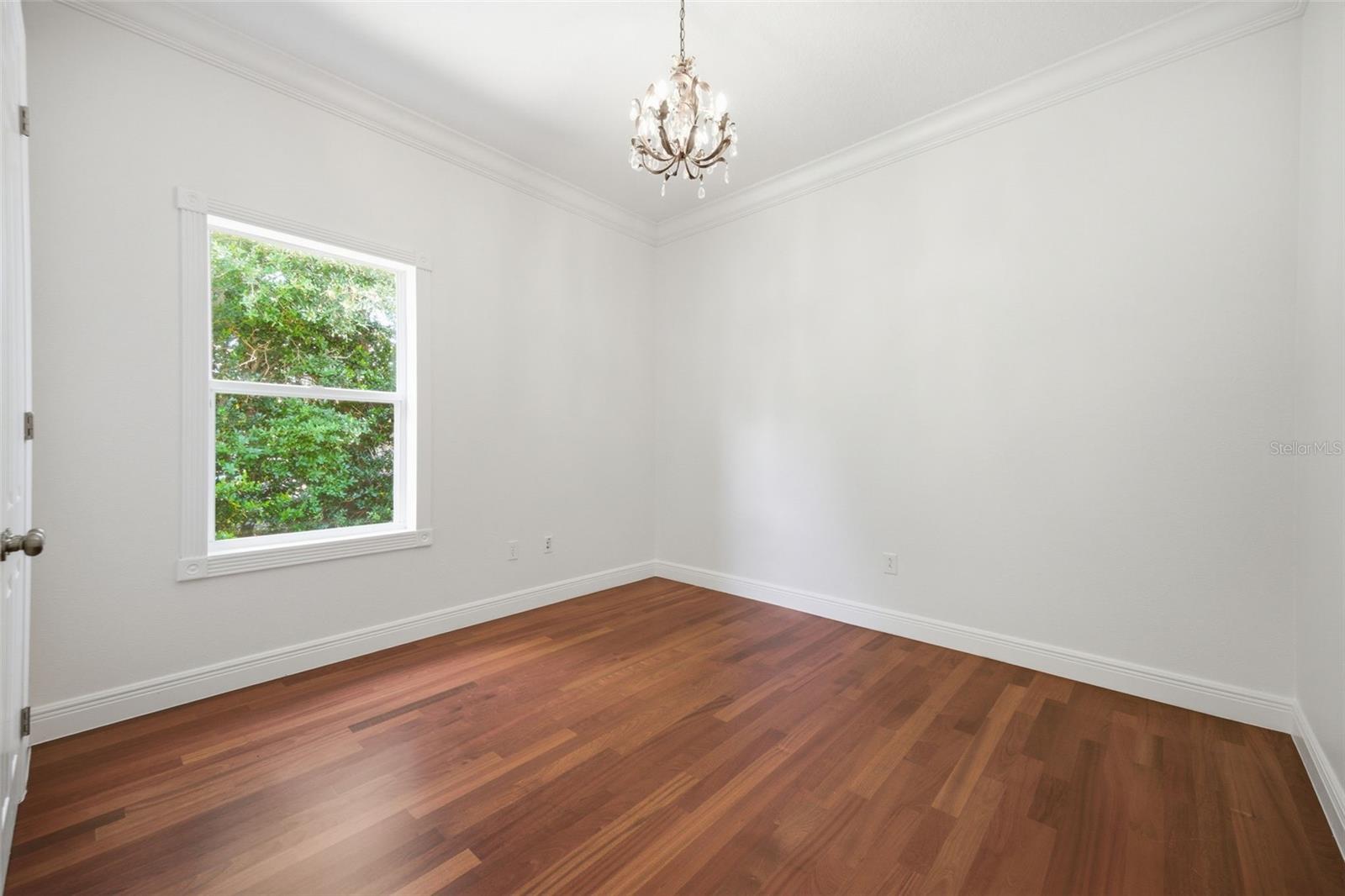 9409 TREE TOPS LAKE RD, TAMPA, FL, 33626
