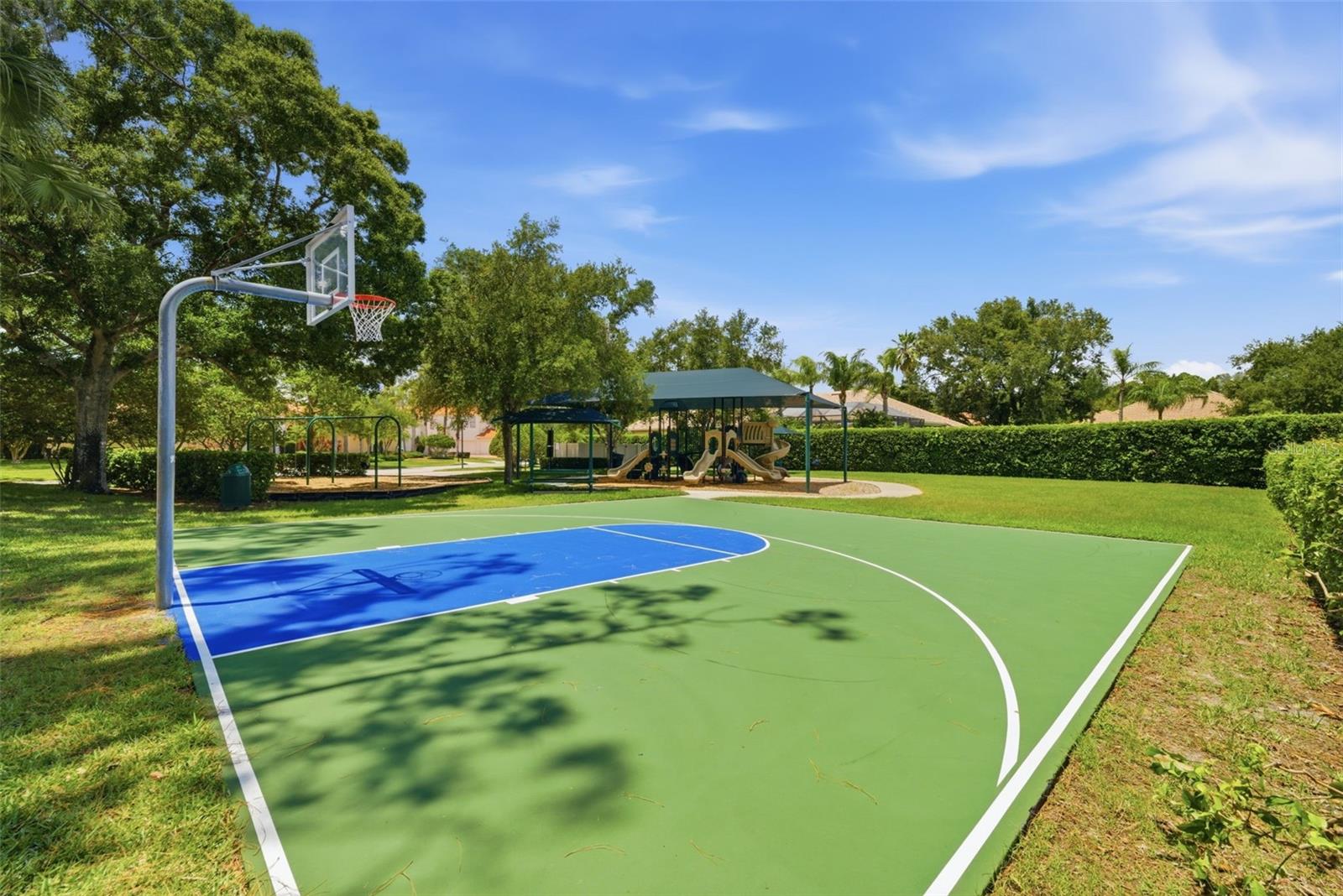 9409 TREE TOPS LAKE RD, TAMPA, FL, 33626