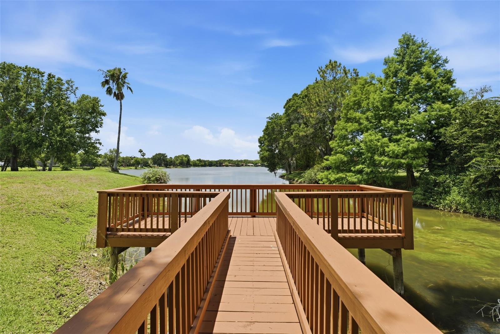 9409 TREE TOPS LAKE RD, TAMPA, FL, 33626
