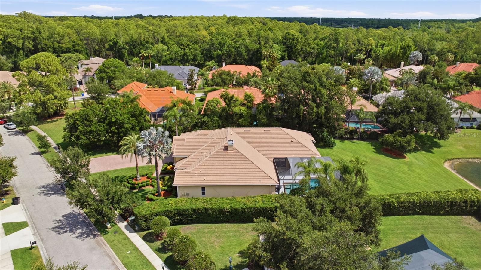 9409 TREE TOPS LAKE RD, TAMPA, FL, 33626