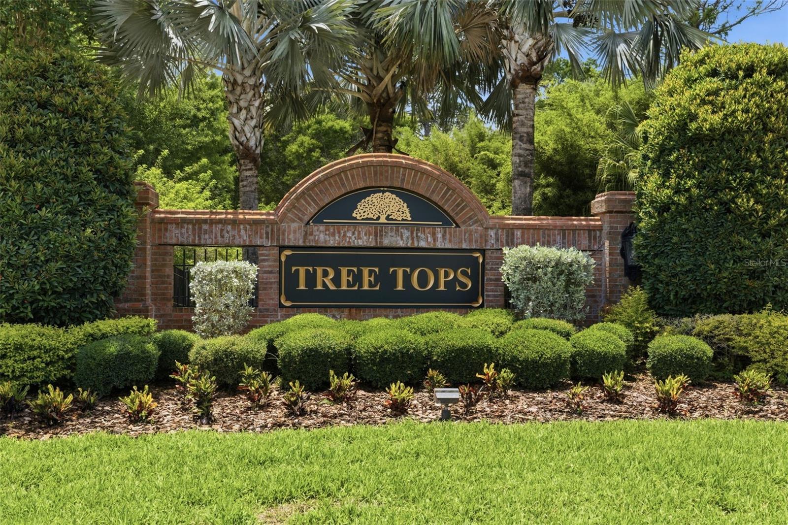 9409 TREE TOPS LAKE RD, TAMPA, FL, 33626