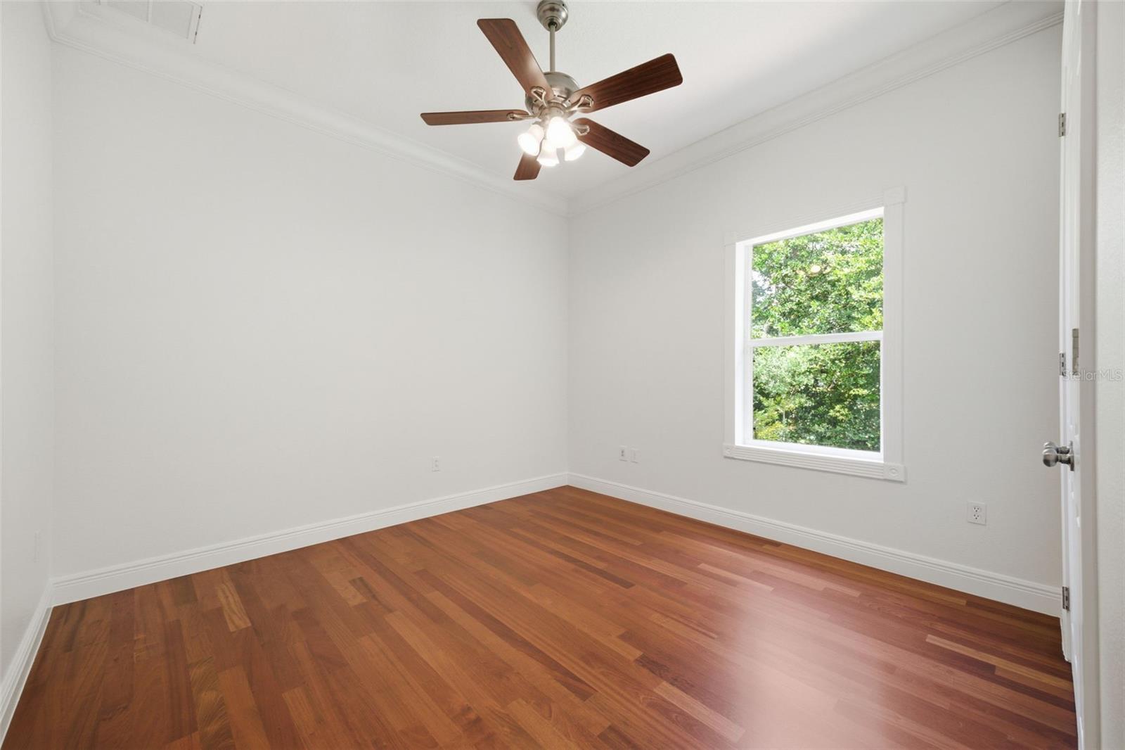 9409 TREE TOPS LAKE RD, TAMPA, FL, 33626