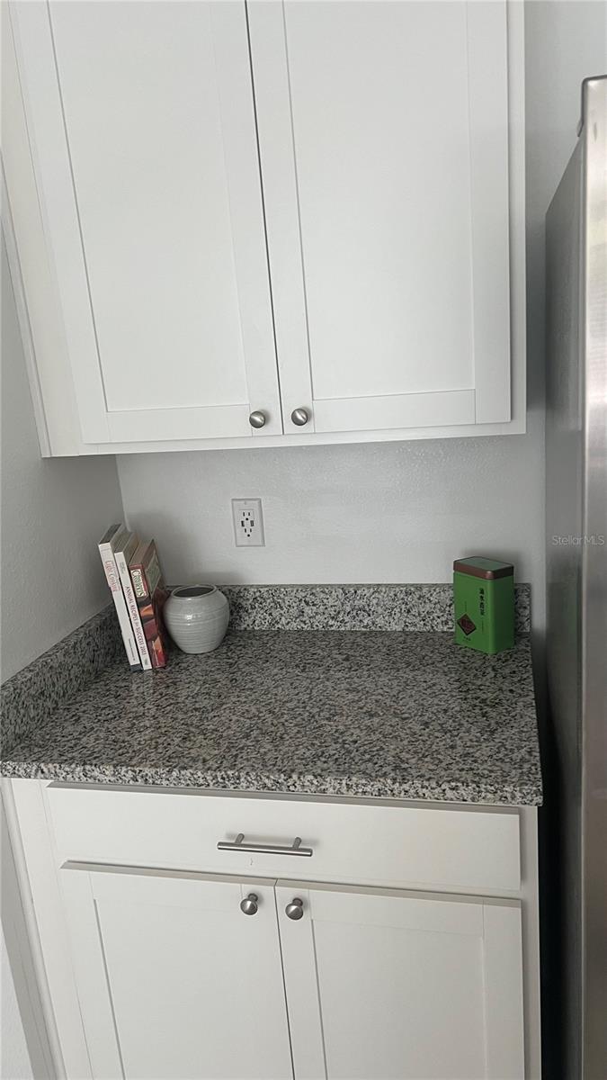 573 VISTA VILLAGES BLVD, DAVENPORT, FL, 33896