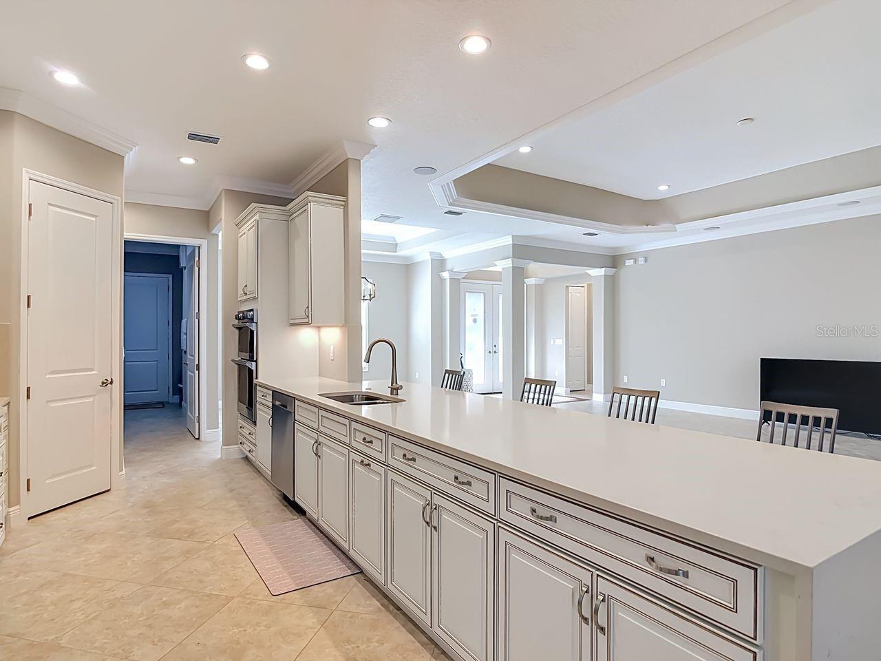 8461 BRIDGEPORT BAY CIR, MOUNT DORA, FL, 32757
