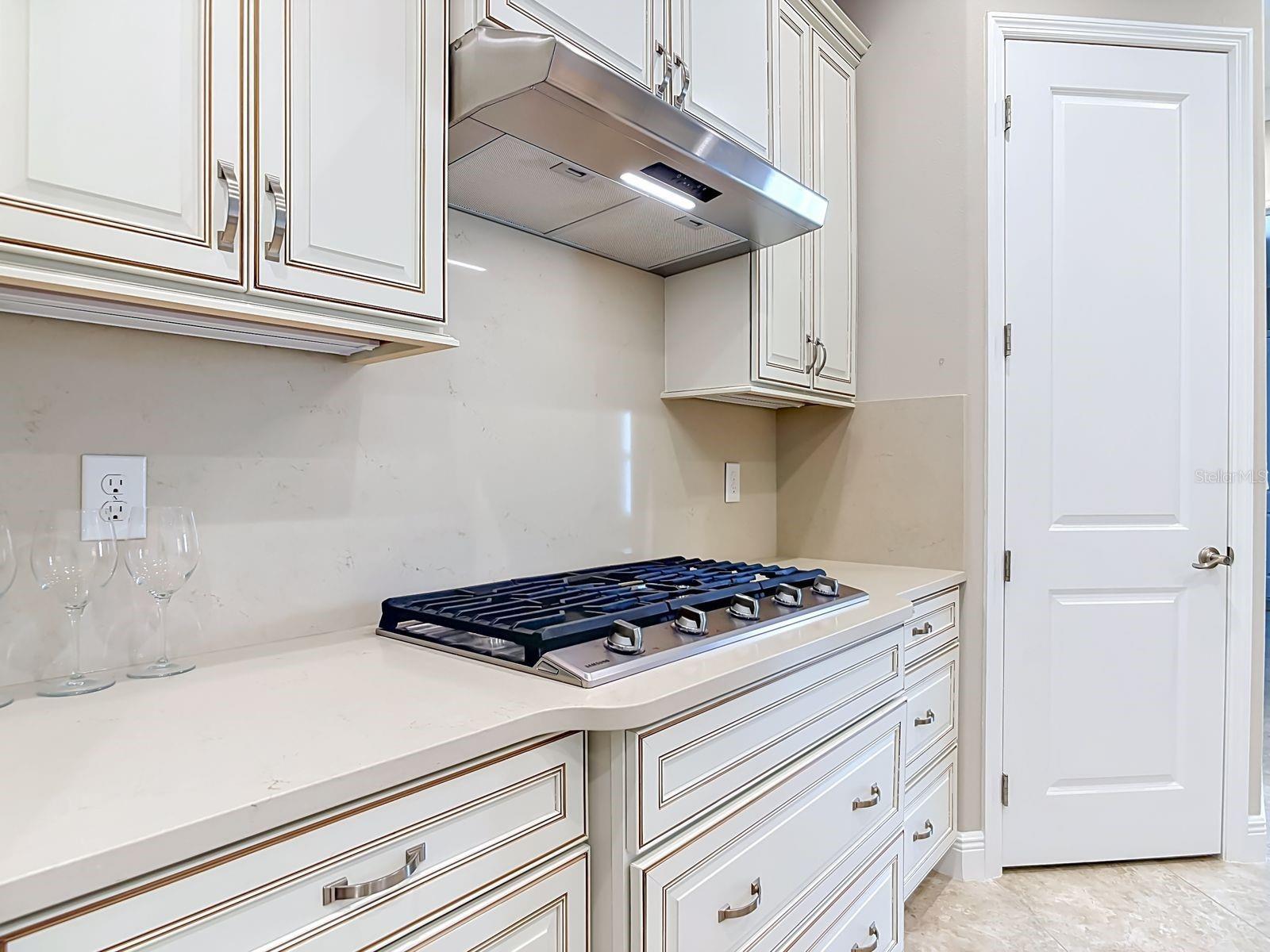 8461 BRIDGEPORT BAY CIR, MOUNT DORA, FL, 32757