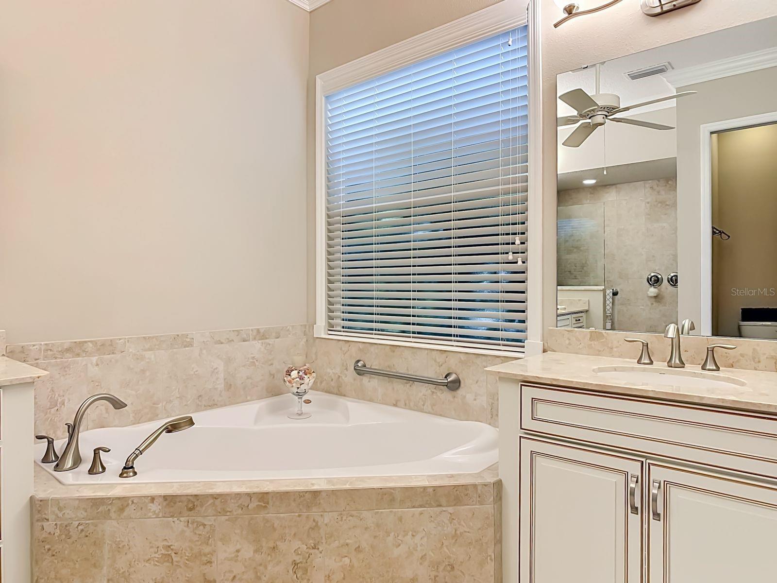 8461 BRIDGEPORT BAY CIR, MOUNT DORA, FL, 32757
