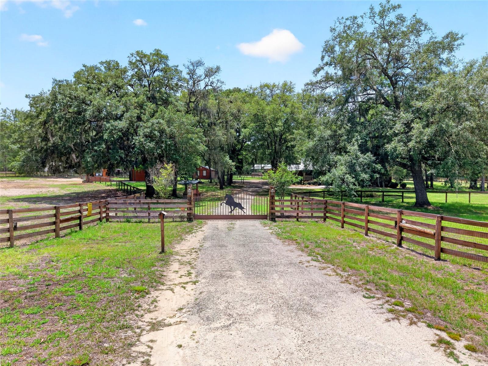 11630 SE 78TH ST, MORRISTON, FL, 32668