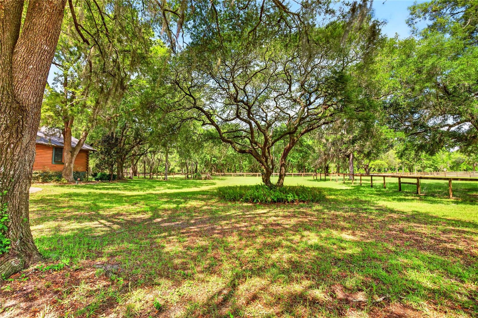 11630 SE 78TH ST, MORRISTON, FL, 32668
