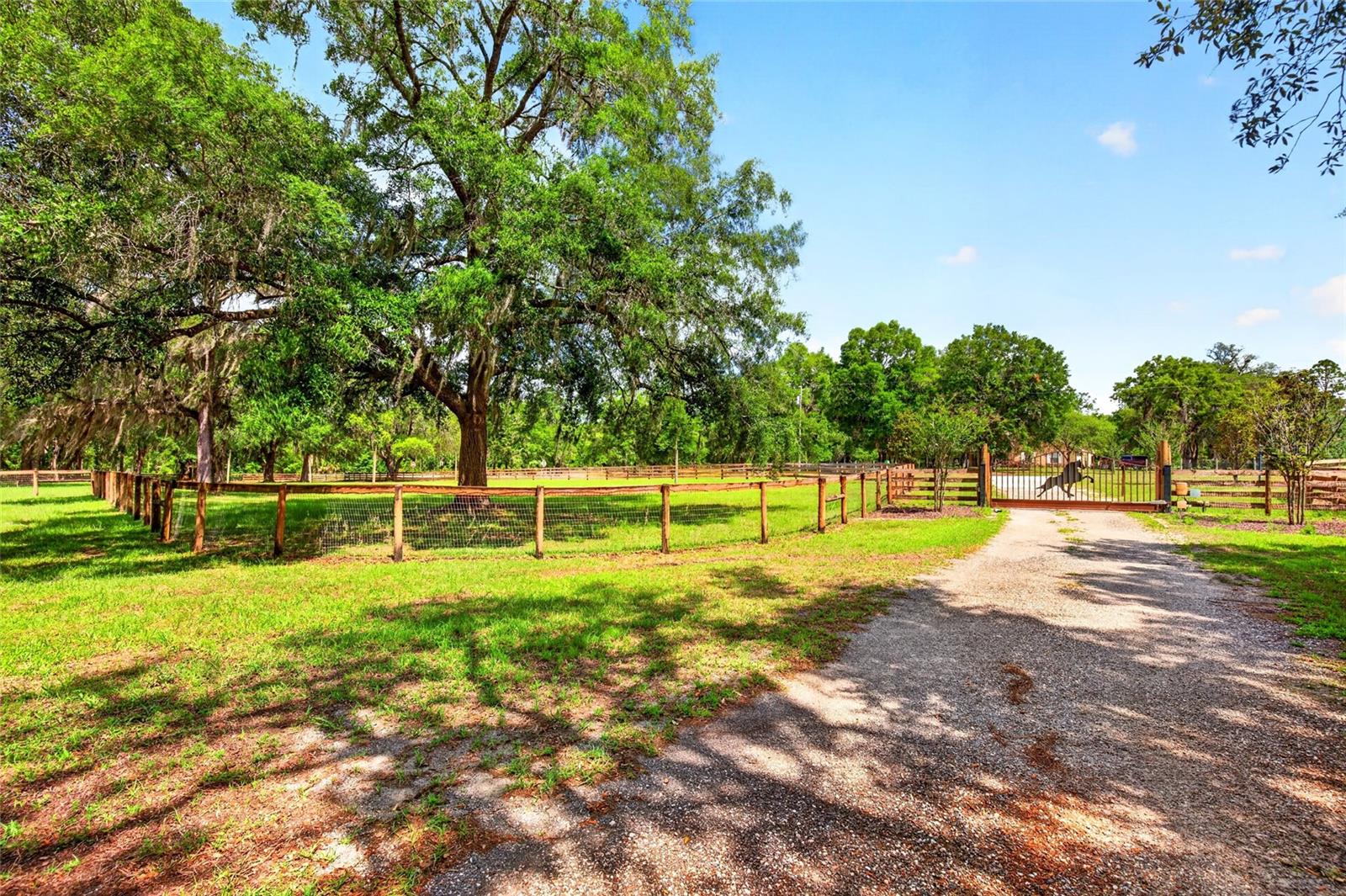 11630 SE 78TH ST, MORRISTON, FL, 32668