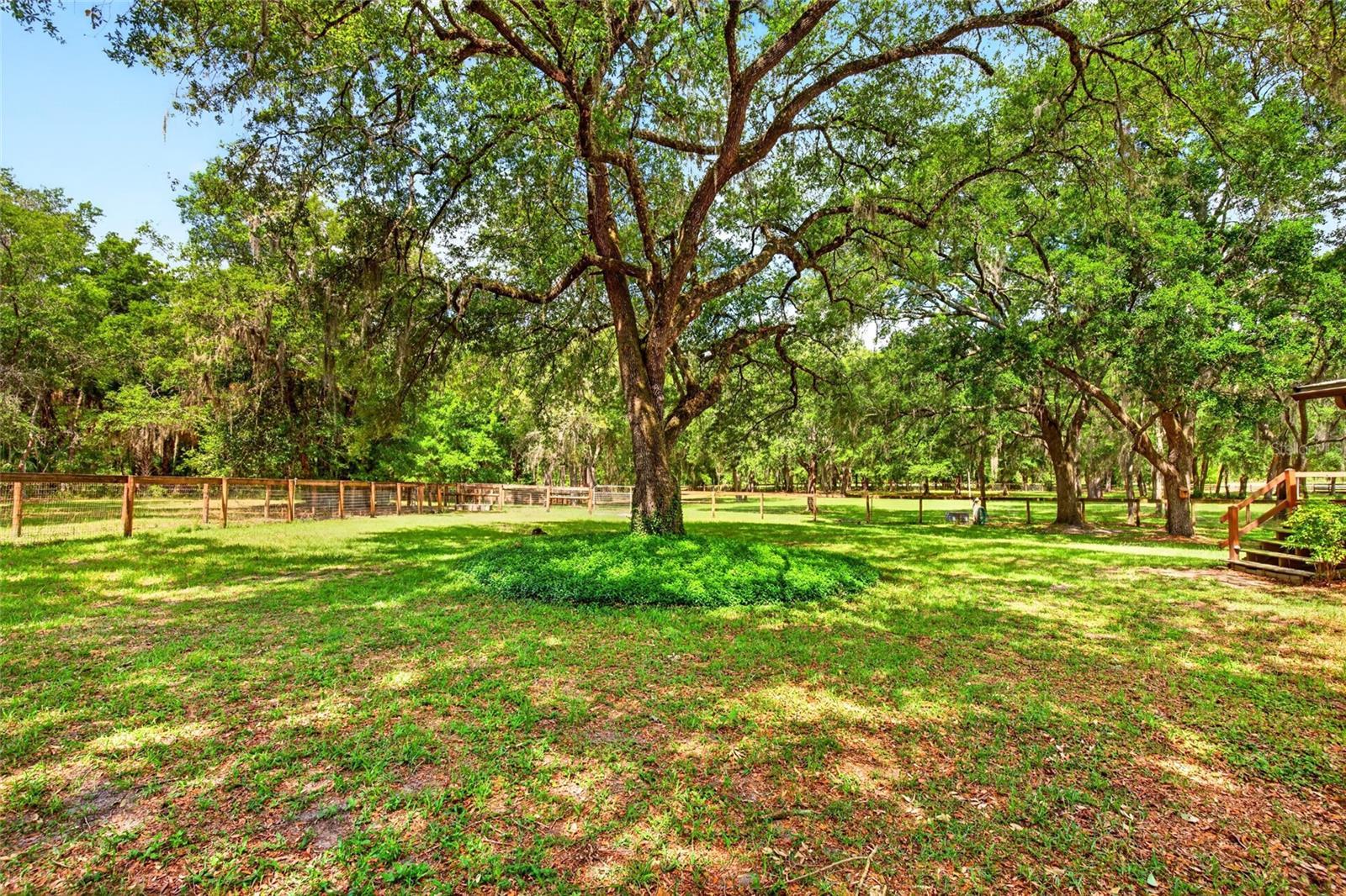11630 SE 78TH ST, MORRISTON, FL, 32668