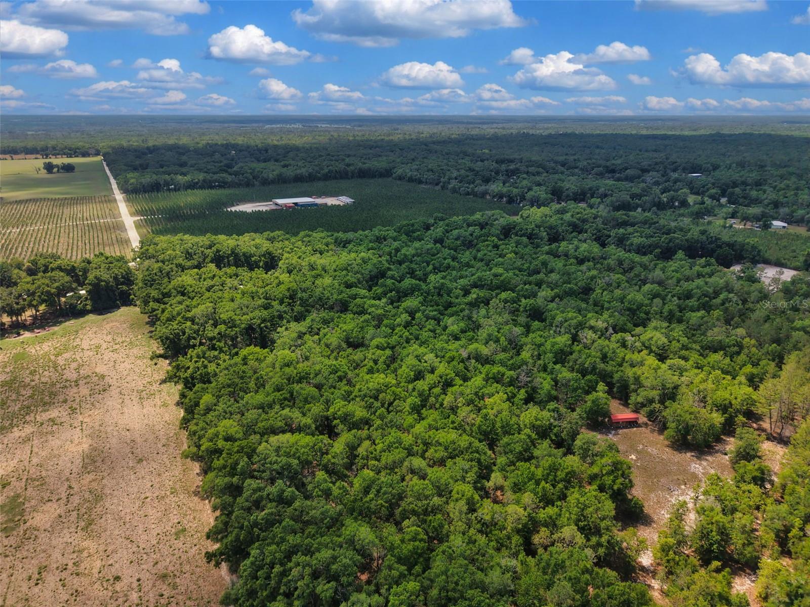 Lot 3 N STATE RD 129, BRANFORD, FL, 32008