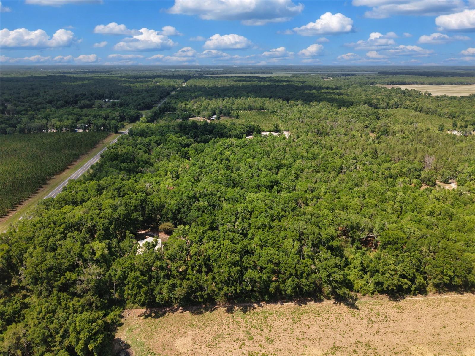 Lot 3 N STATE RD 129, BRANFORD, FL, 32008