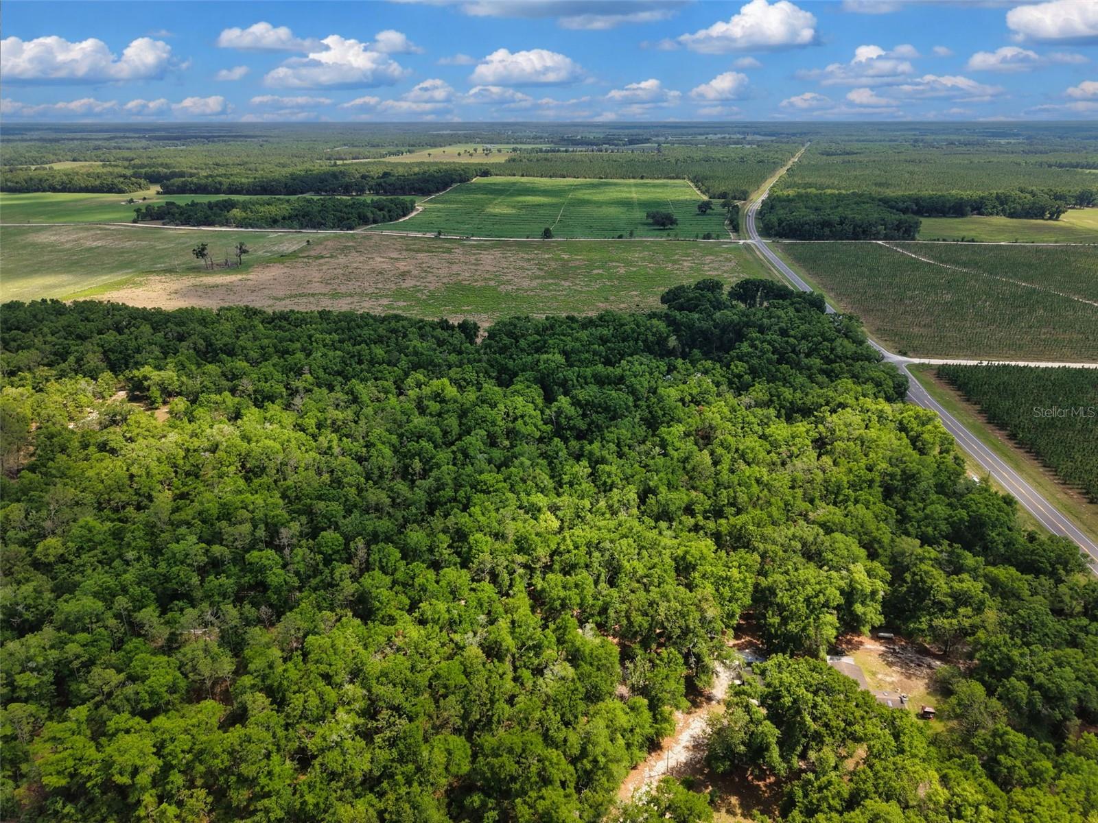 Lot 3 N STATE RD 129, BRANFORD, FL, 32008