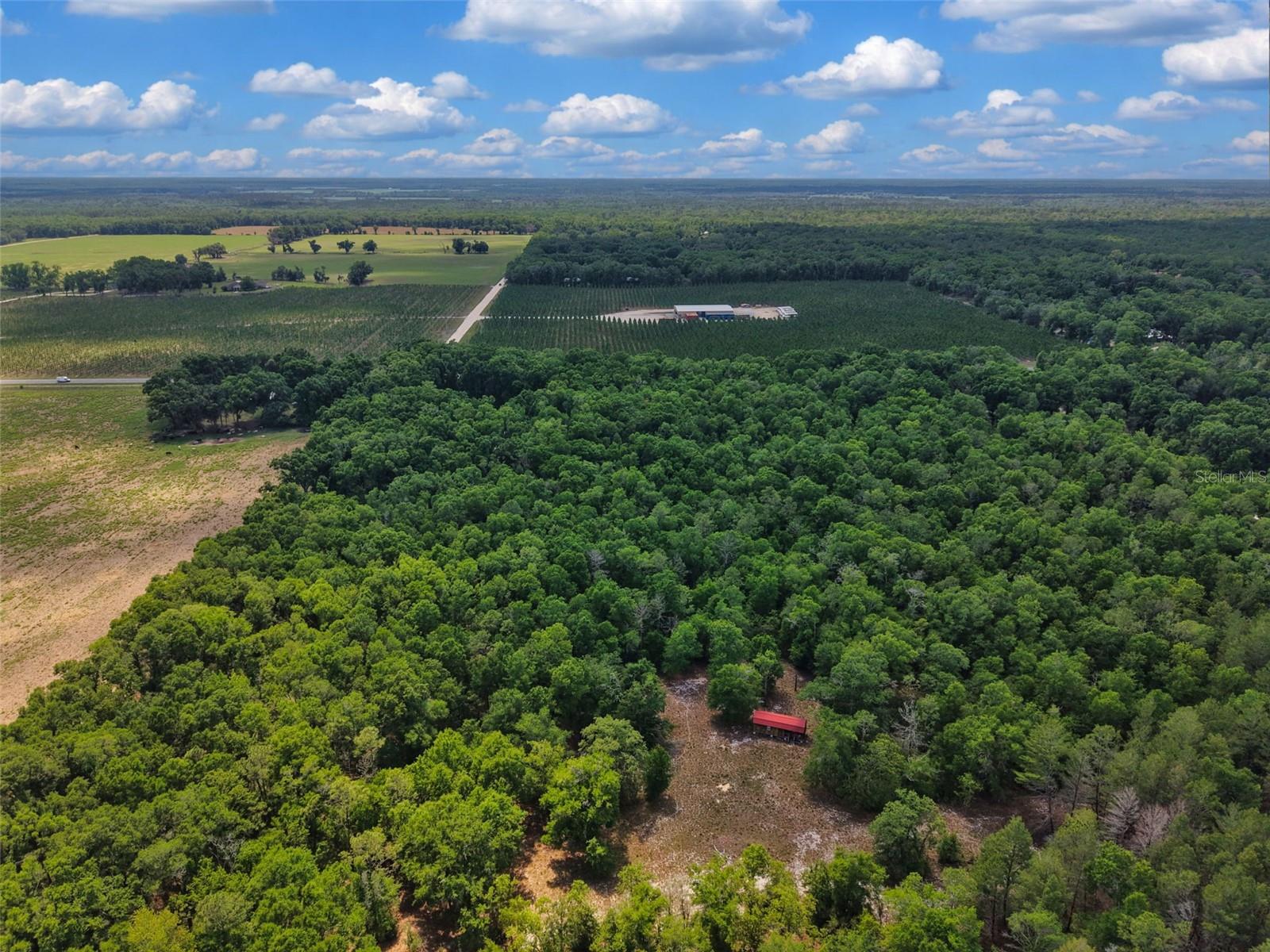 Lot 3 N STATE RD 129, BRANFORD, FL, 32008