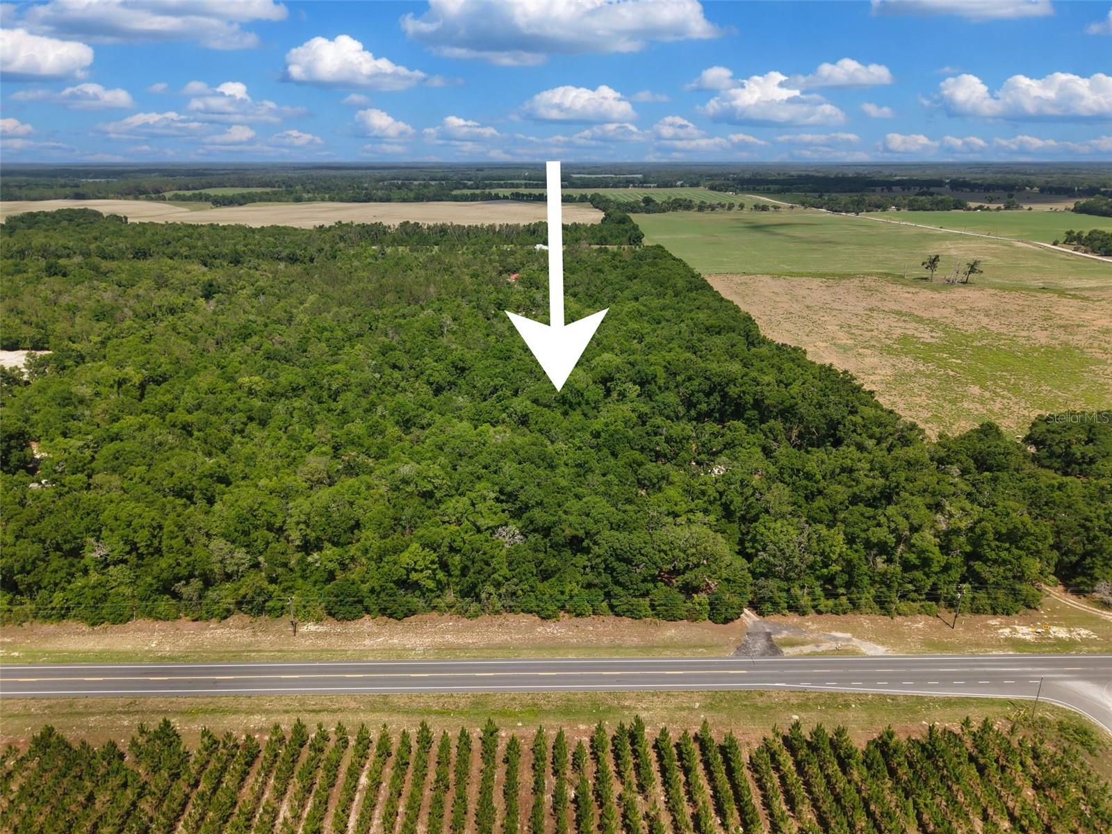 Lot 3 N STATE RD 129, BRANFORD, FL, 32008