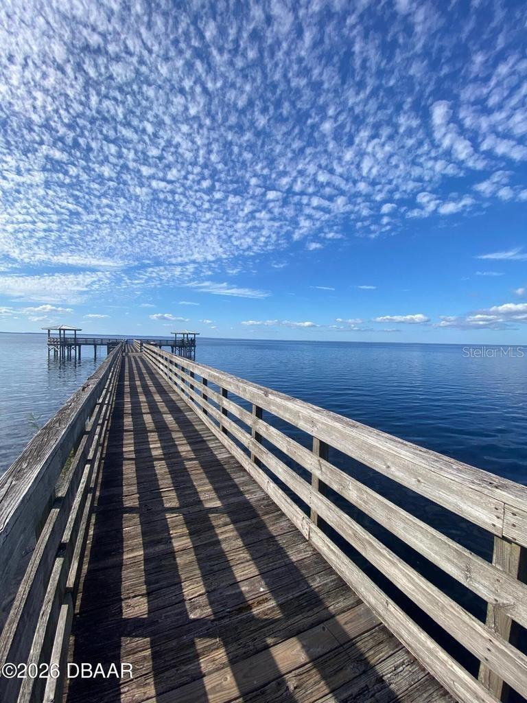820 OLD BUBBLY RD, PIERSON, FL, 32180