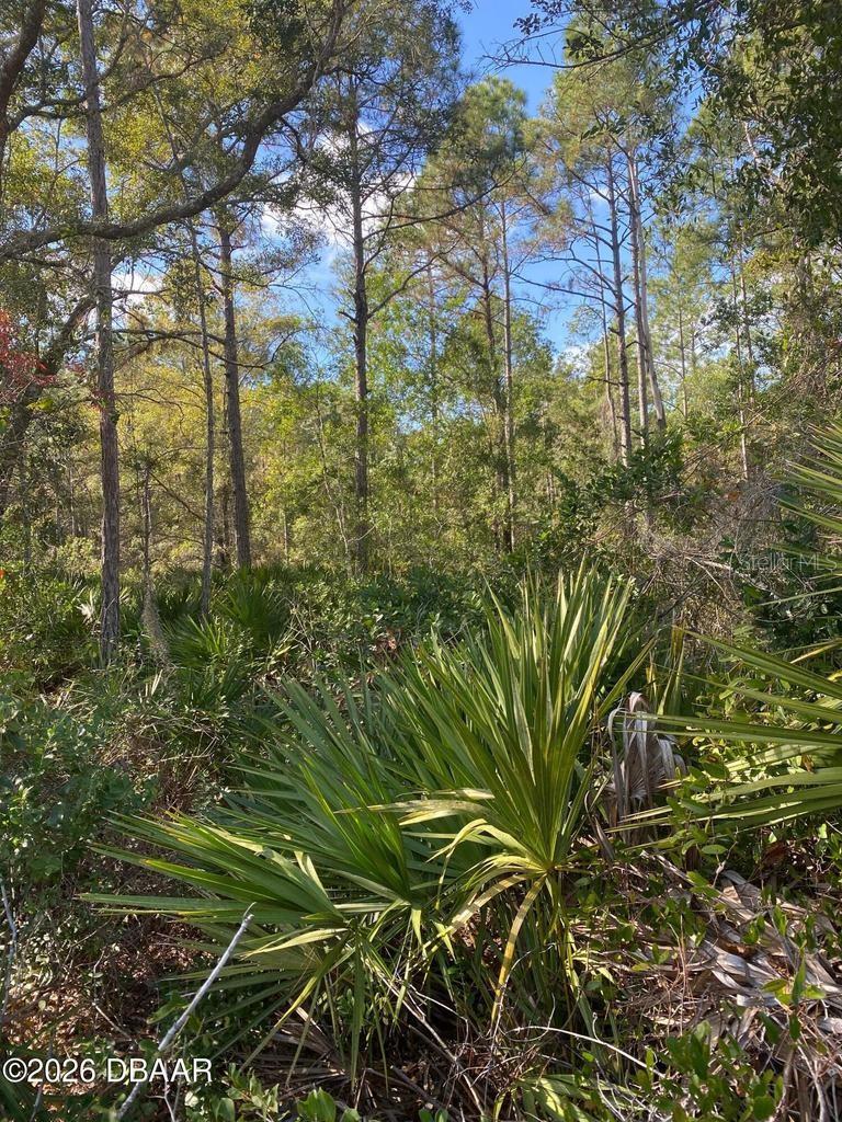 820 OLD BUBBLY RD, PIERSON, FL, 32180