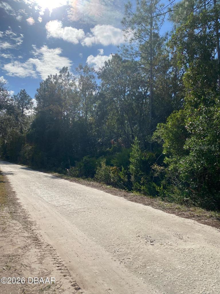 820 OLD BUBBLY RD, PIERSON, FL, 32180