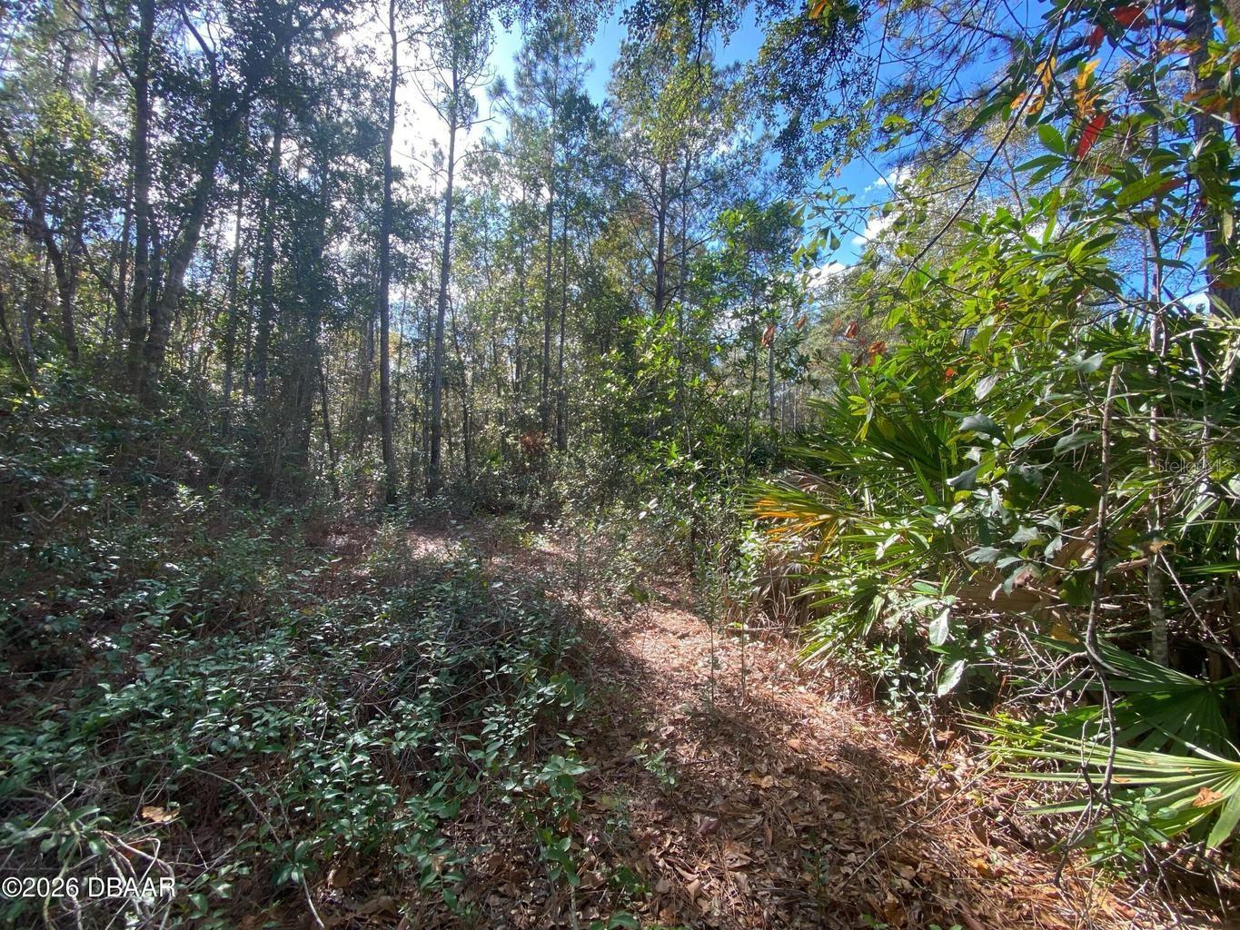 820 OLD BUBBLY RD, PIERSON, FL, 32180